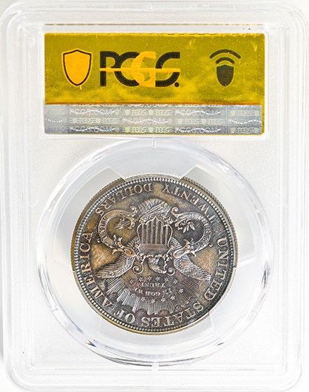 Picture of 1876 $20 PR65 BN