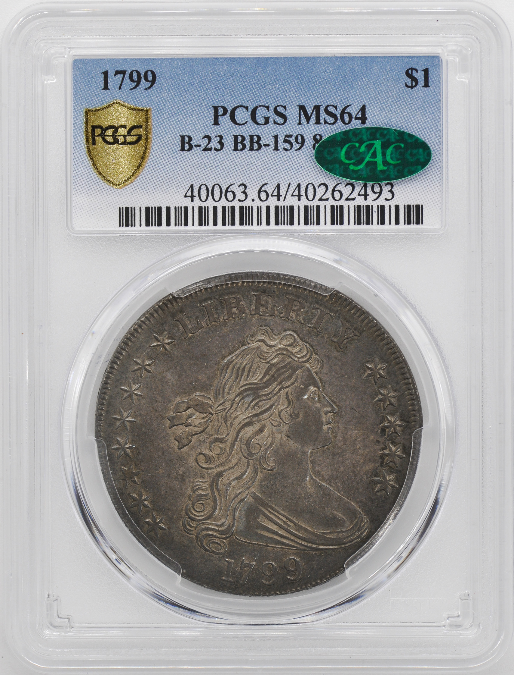 1799 Draped Bust 1 Obverse Stars 8x5 Rare Coin Wholesalers A