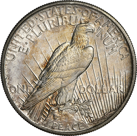 Picture of 1921 PEACE $1, PEACE, MATTE FINISH PR64 