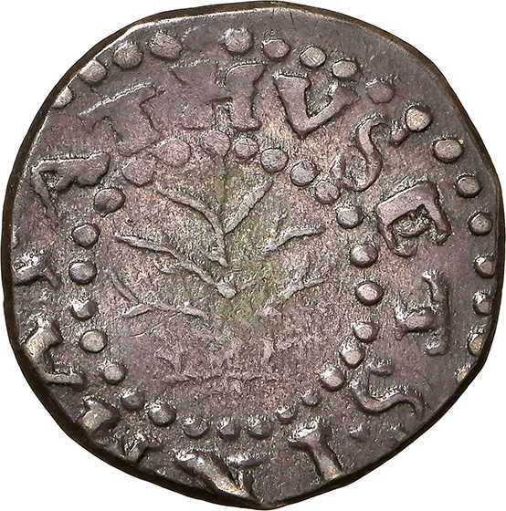 Picture of 1662 OAK TREE 2 PENCE, SMALL 2 MS61 