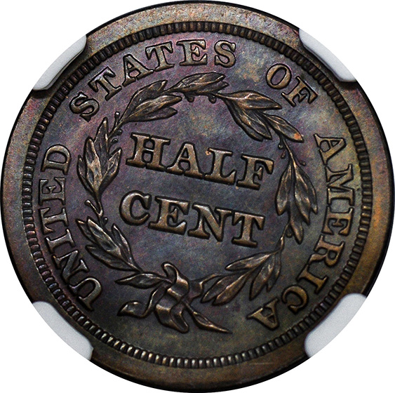 Picture of 1840 BRAIDED HAIR 1/2C, RESTRIKE PR66 Brown
