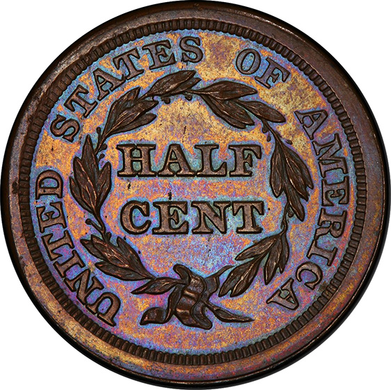 Picture of 1840 BRAIDED HAIR 1/2C, RESTRIKE PR65 Brown