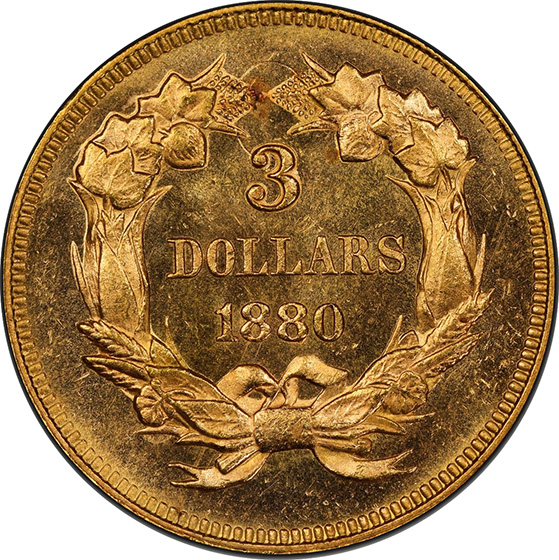Picture of 1880 INDIAN PRINCESS $3 MS65 Proof Like