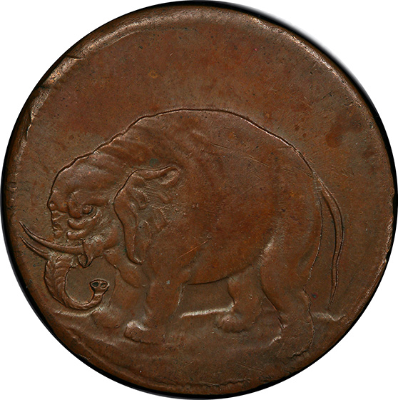 Picture of ELEPHANT LONDON, THIN 1/2 P MS65 Brown Picture of ELEPHANT LONDON, THIN 1/2 P MS65 Brown