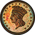 Picture of 1874 G$1 J-1365 PR65 Brown