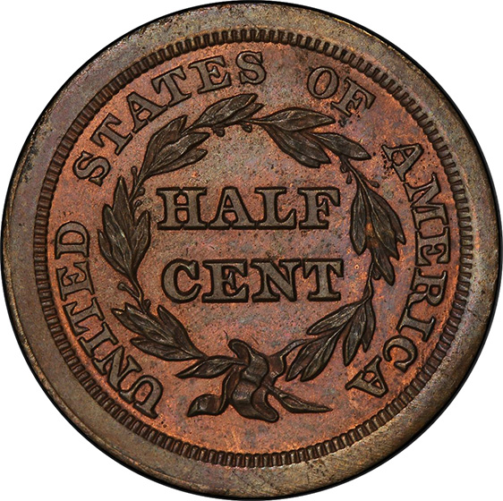 Picture of 1843 BRAIDED HAIR 1/2C, RESTRIKE PR65 Red Brown