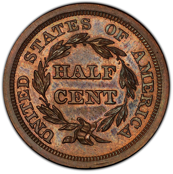 Picture of 1843 BRAIDED HAIR 1/2C, RESTRIKE PR65 Brown