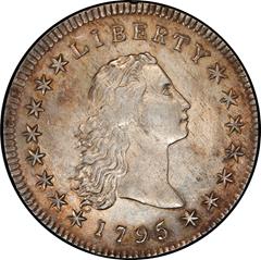 Picture of 1795 FLOWING HAIR $1, 3 LEAVES MS61 