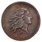 Picture for category Flowing Hair Large Cents