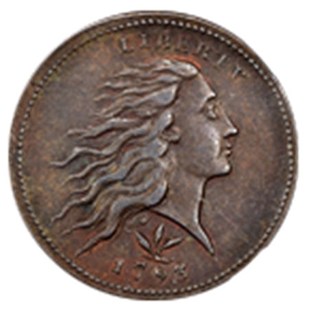 Picture for category Flowing Hair Large Cents