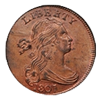 Picture for category Draped Bust Cents